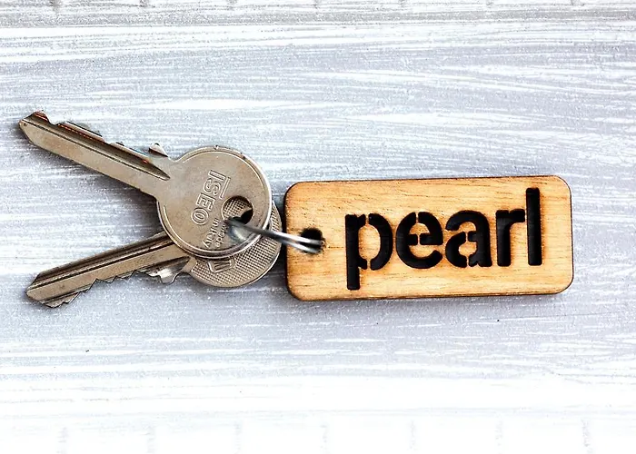 阿斯普罗利索斯公寓 * 斯基亚索斯镇